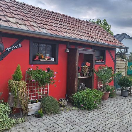 Ferienwohnung Au Gre De L'Ill "Les Toits D'Horbourg" Exterior foto