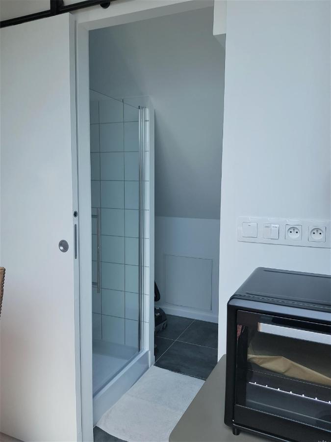 Ferienwohnung Au Gre De L'Ill "Les Toits D'Horbourg" Exterior foto