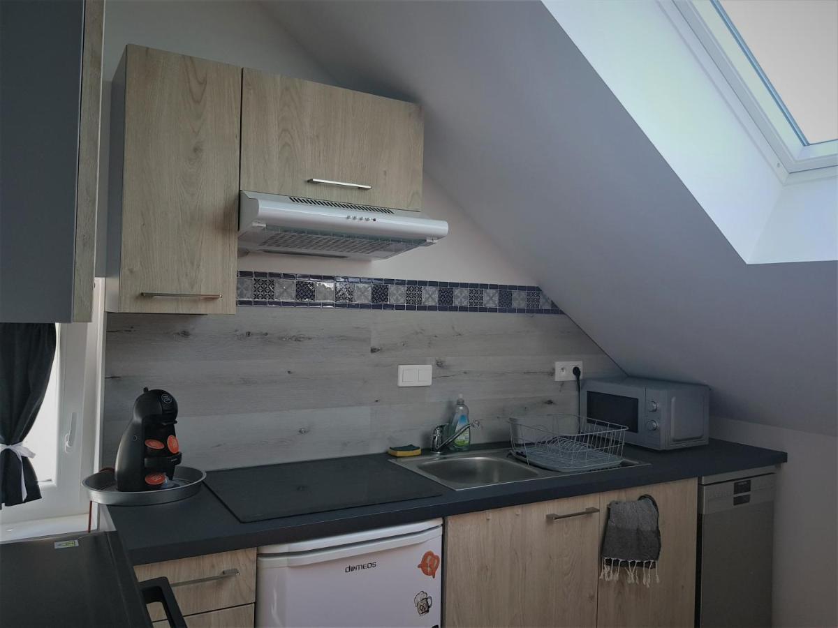 Ferienwohnung Au Gre De L'Ill "Les Toits D'Horbourg" Exterior foto