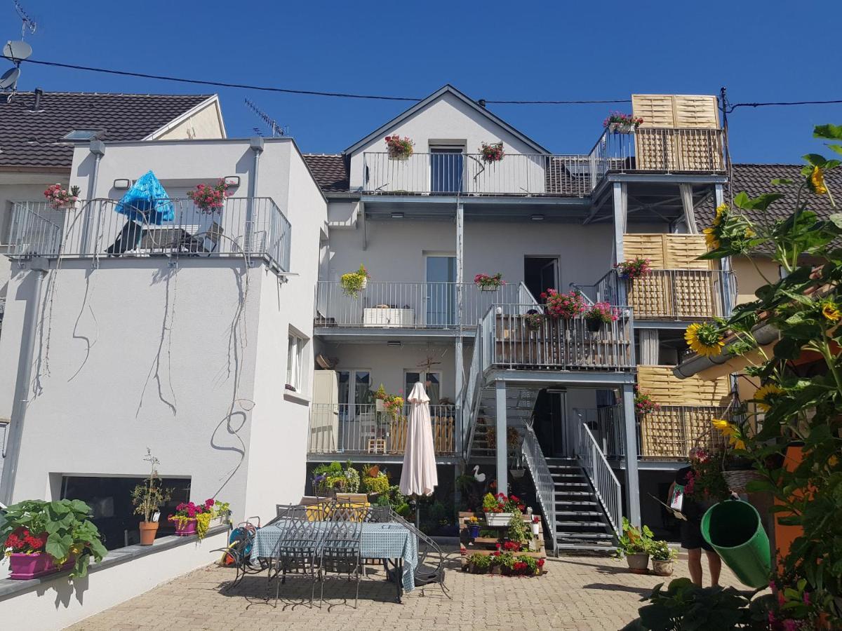 Ferienwohnung Au Gre De L'Ill "Les Toits D'Horbourg" Exterior foto