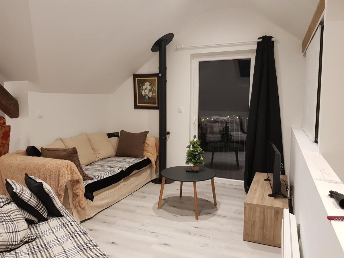 Ferienwohnung Au Gre De L'Ill "Les Toits D'Horbourg" Exterior foto