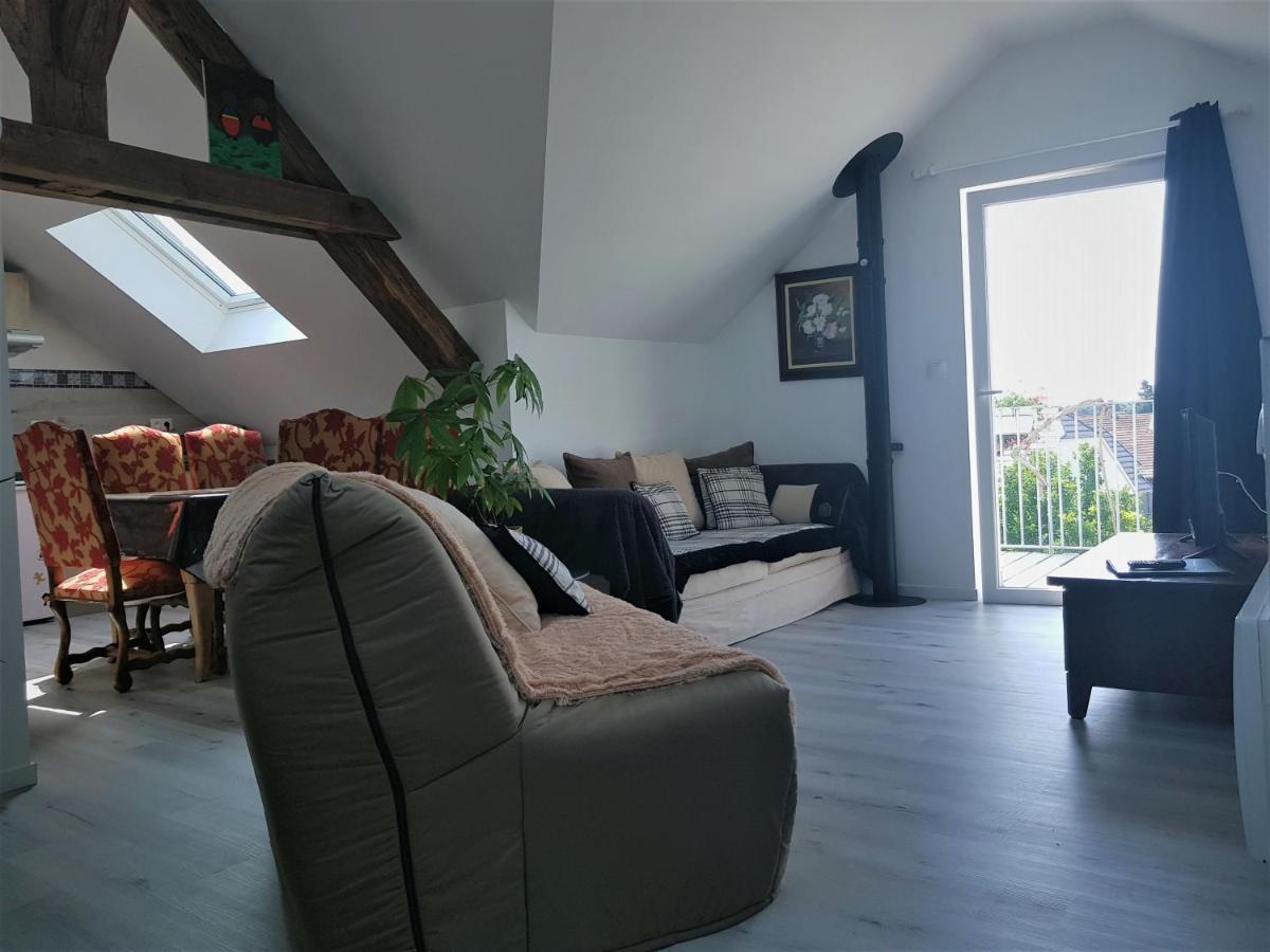 Ferienwohnung Au Gre De L'Ill "Les Toits D'Horbourg" Exterior foto