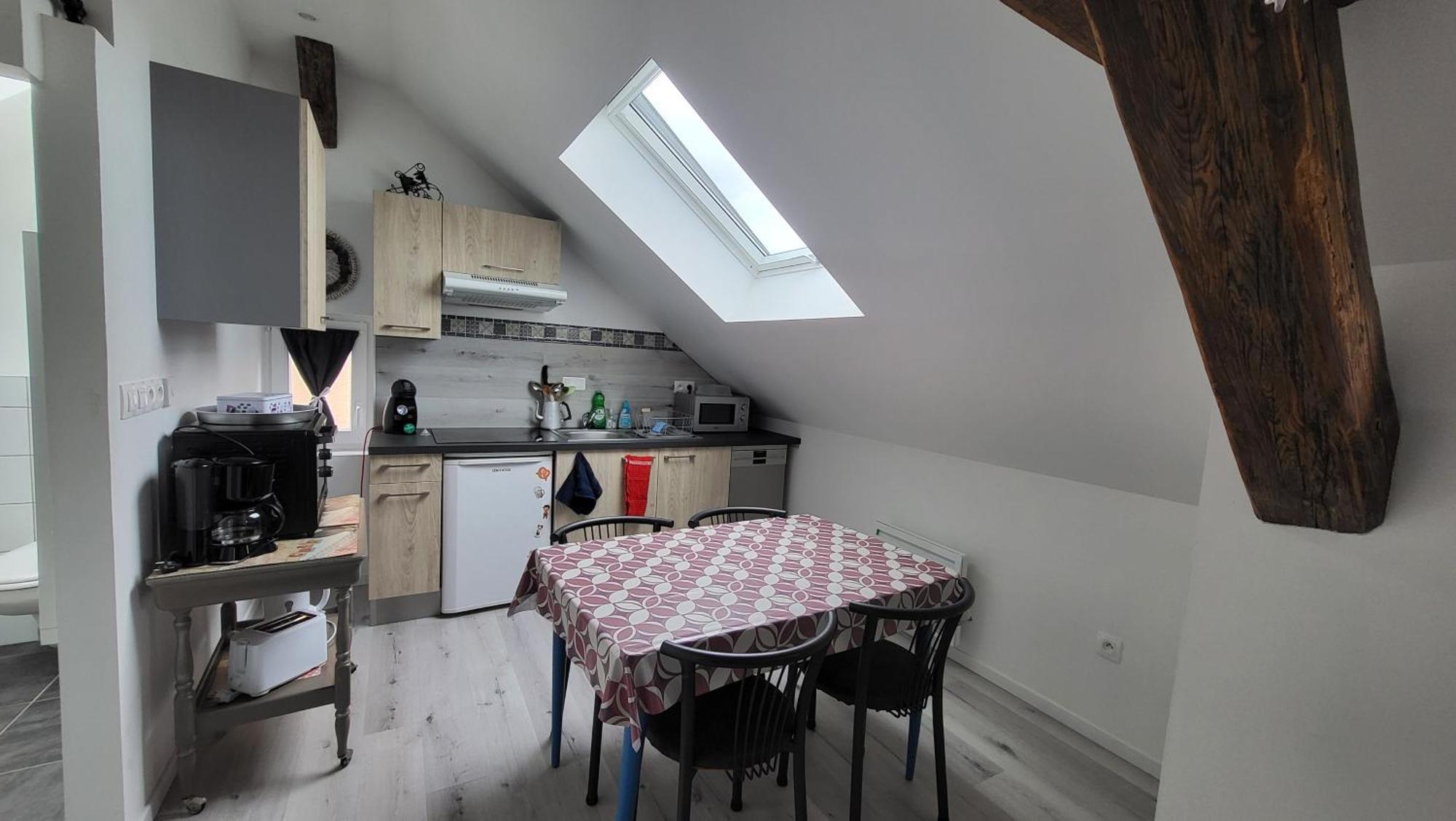 Ferienwohnung Au Gre De L'Ill "Les Toits D'Horbourg" Exterior foto