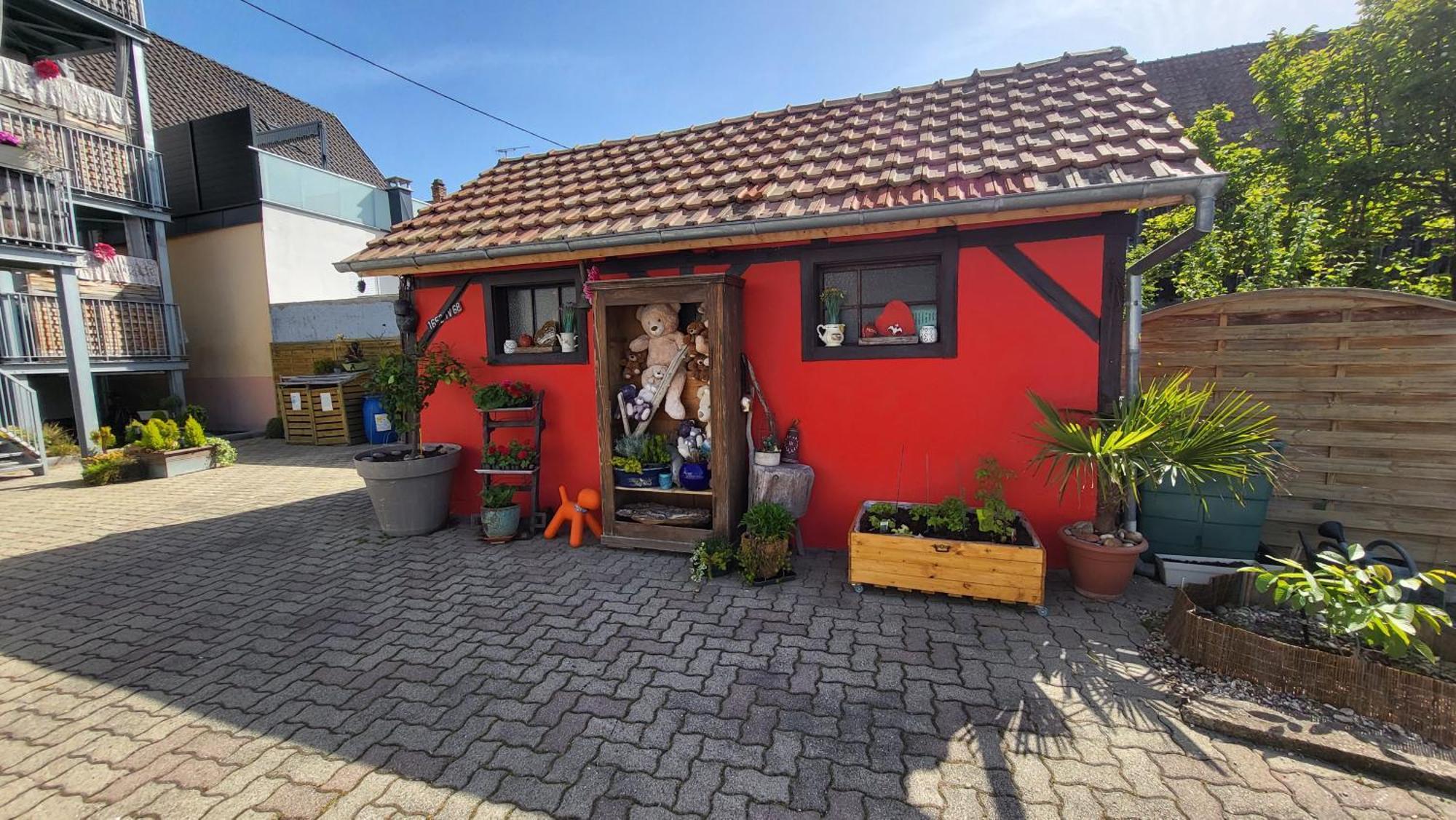 Ferienwohnung Au Gre De L'Ill "Les Toits D'Horbourg" Exterior foto
